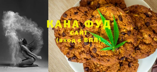 хмурый Абаза