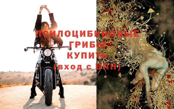 хмурый Абаза