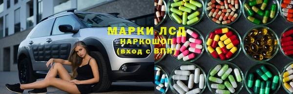 хмурый Абаза
