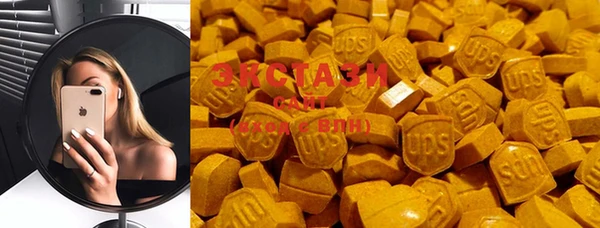 хмурый Абаза