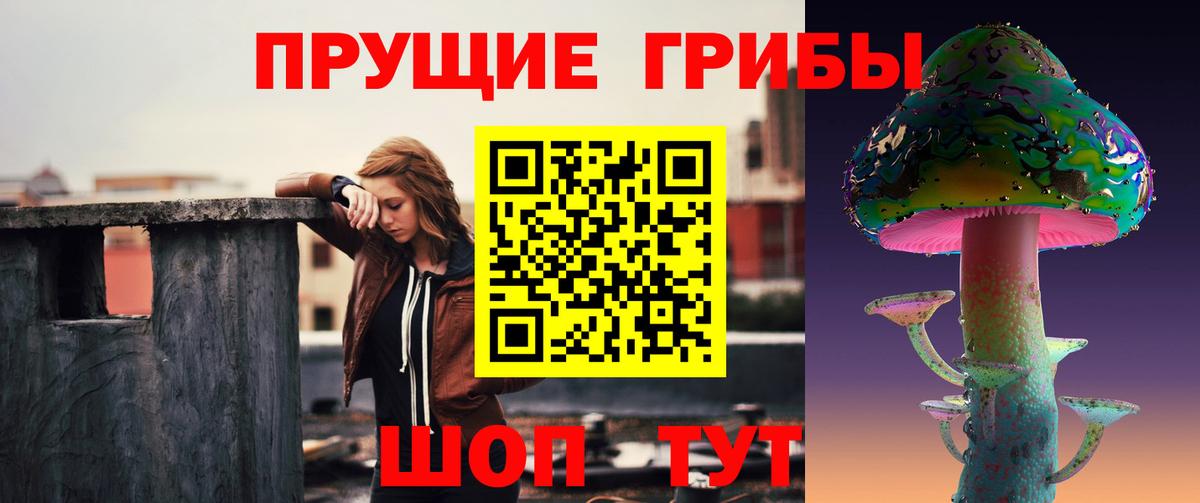 Псилоцибиновые грибы Cubensis Черемхово