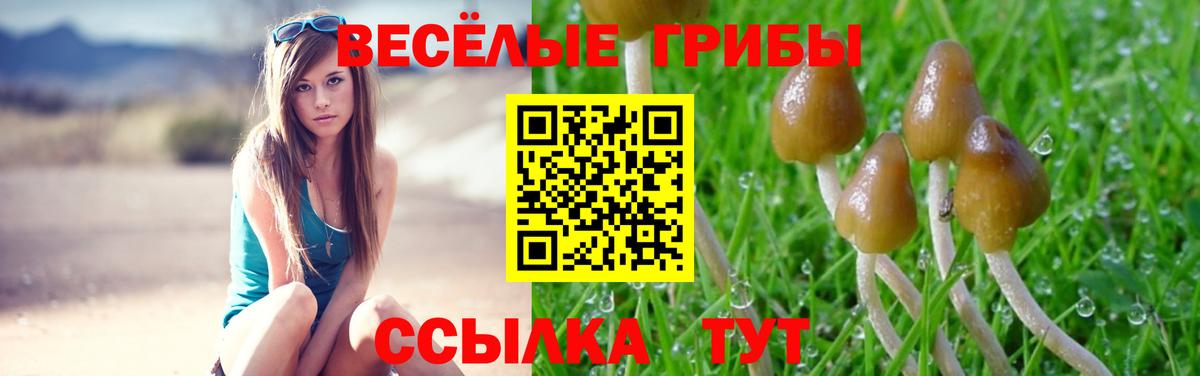 Псилоцибиновые грибы прущие грибы  Вход с VPN  Черемхово 